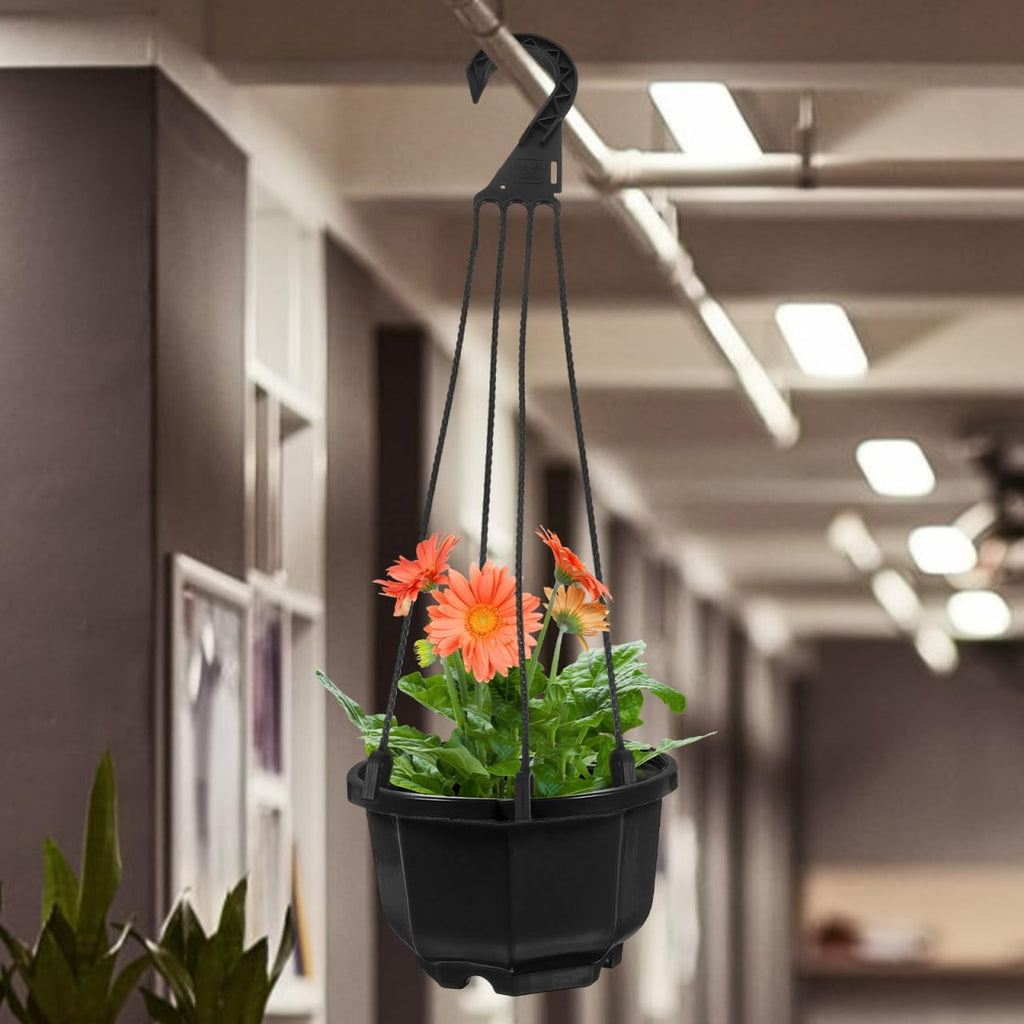 Healeved 5Pcs Plastic Plant Hangers Hanging Basket Hooks, 4 Prong Plant Pot Hangers for Balcony, Garden, Porch, and