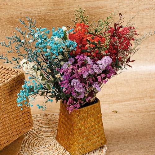 Layhit 4 Pack Large Size Boho Dried Flowers 15-17 Inch, Babysbreath