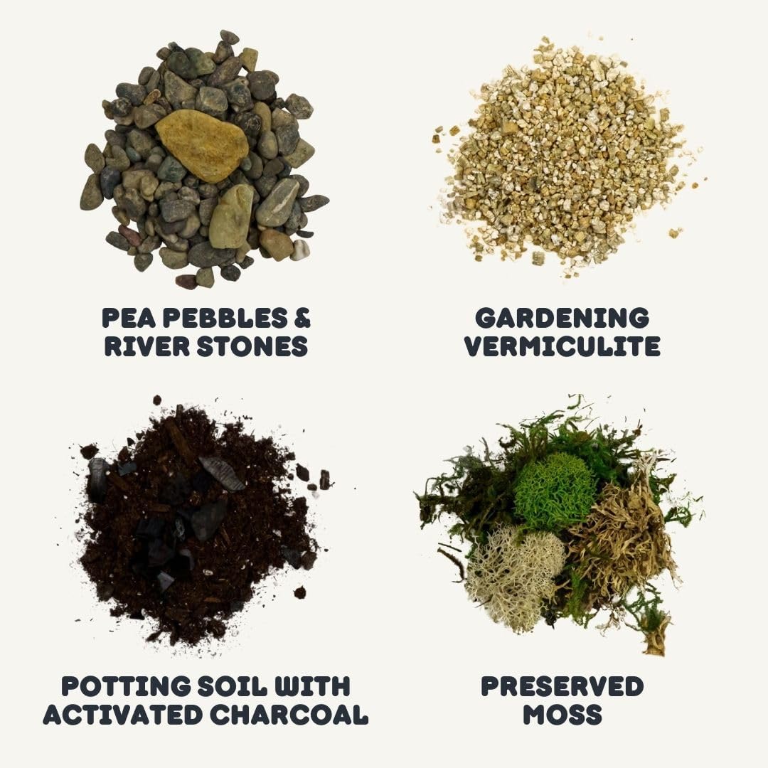 Terrarium Starter Kit | Moss, Vermiculite, Soil, Pebbles, Plant Food, Finishing Tools, Build and Care Guide | DIY