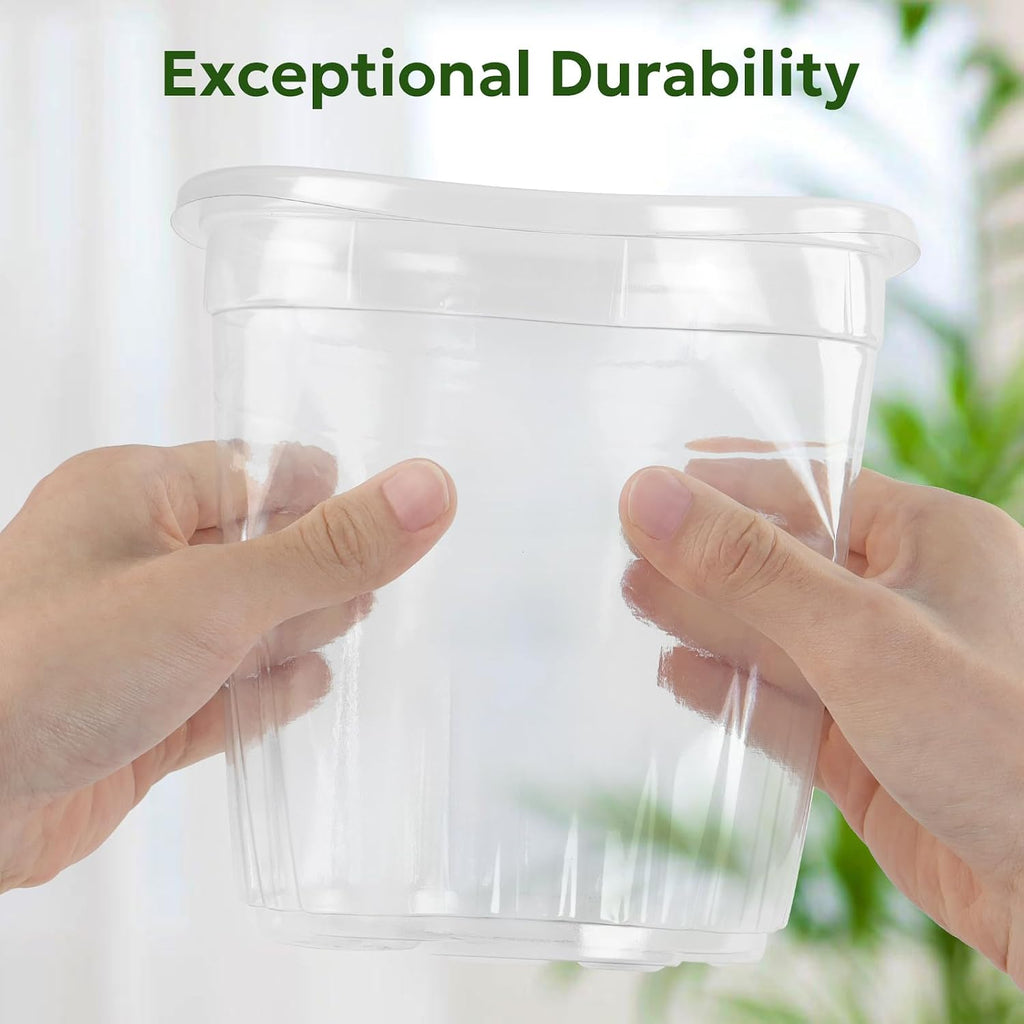 Bluepro Clear Nursery Pots with Drainage Holes, 7 Inch, 1 Gallon, 30-Pack | Clear PET, 1-Gallon Capacity, Root and