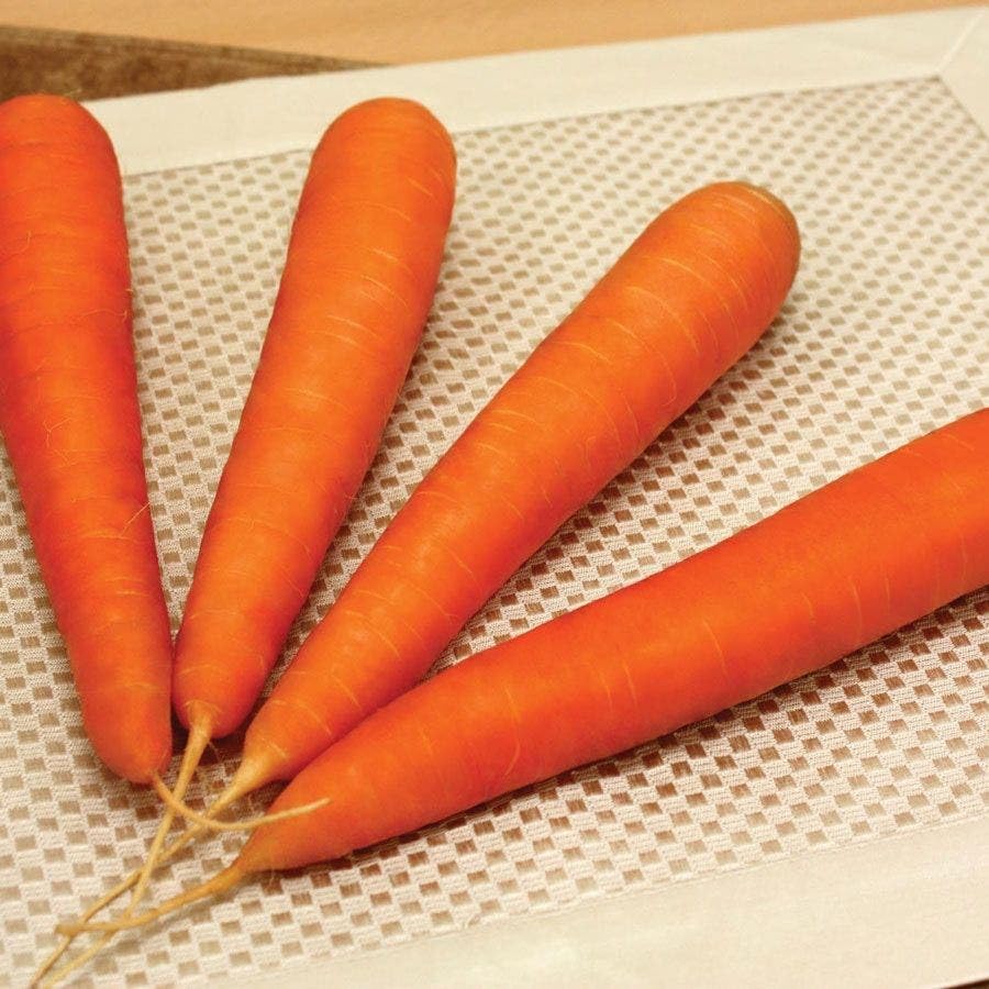 Park Seed Ultimate Vegetable Soup Seed Collection – Non-GMO Heirloom Garden Kit with Onion, Carrot, Celery, Roma Tomato