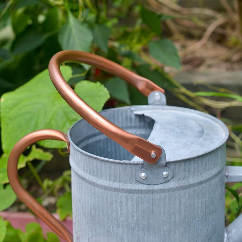 1 Gallon Watering Can, Metal Watering Can with Removable Spout, Farmhouse Galvanzied Water Can, Nice Plant Water Can