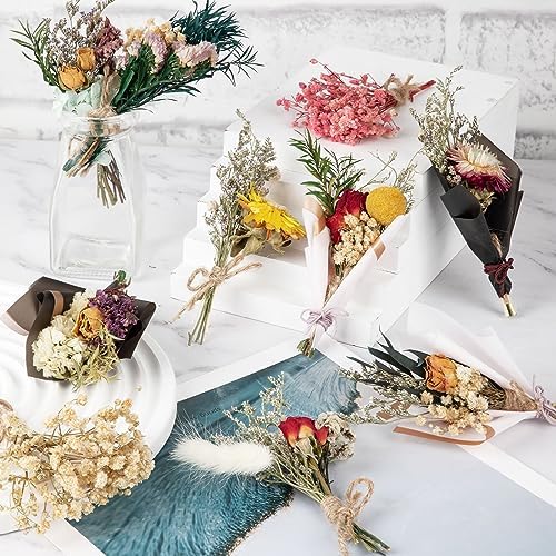 10 Pcs Dried Flowers for Crafts, Mini Dried Flowers Bouquet Bulk for Vase DIY Photo Bridesmaid Gift Birthday Decor