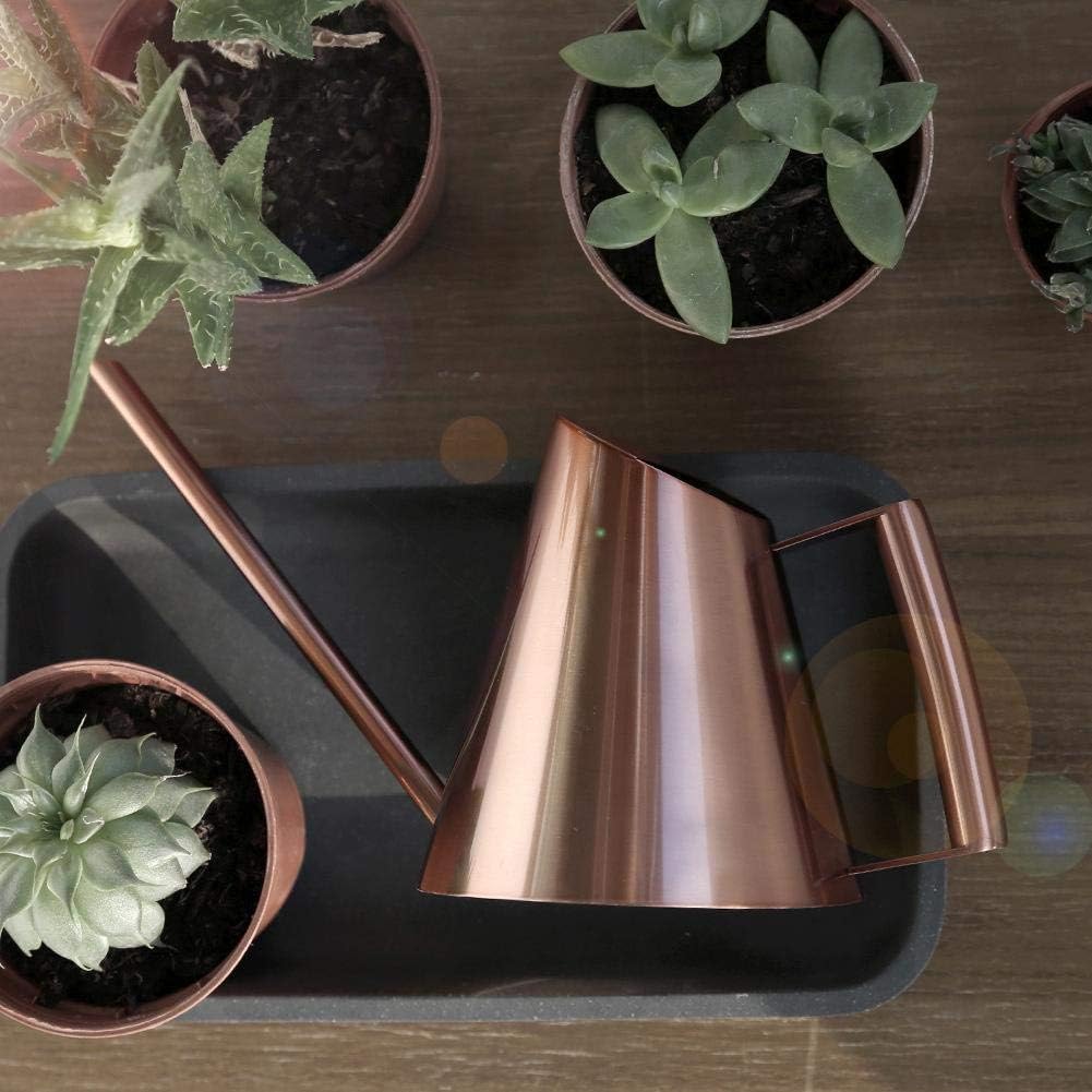 Fdit Watering Can Solid Stainless Steel Pot with Long Spout for Bonsai Indoors Plants Garden Green Plant Flower