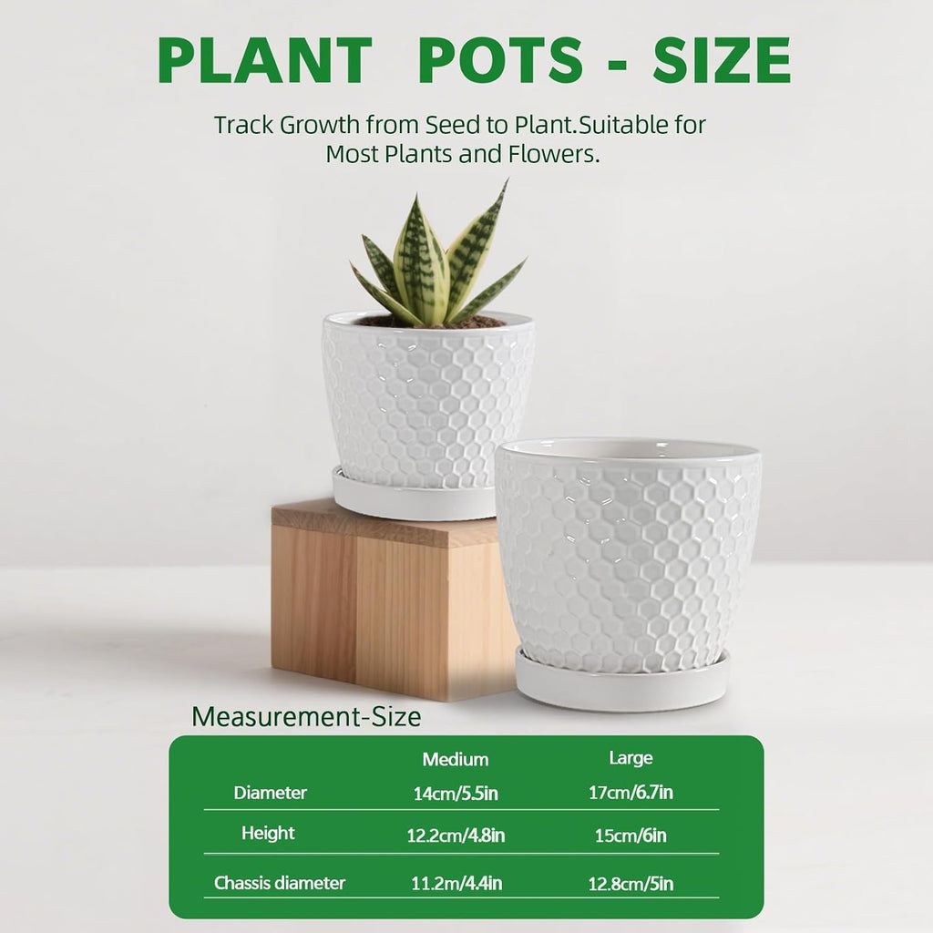 Docrin Ceramic Plant Pots Set of 2 (6.6"+5.5"), High-Fired Clay Indoor Planters with Drainage Holes & Saucer, Honeycomb