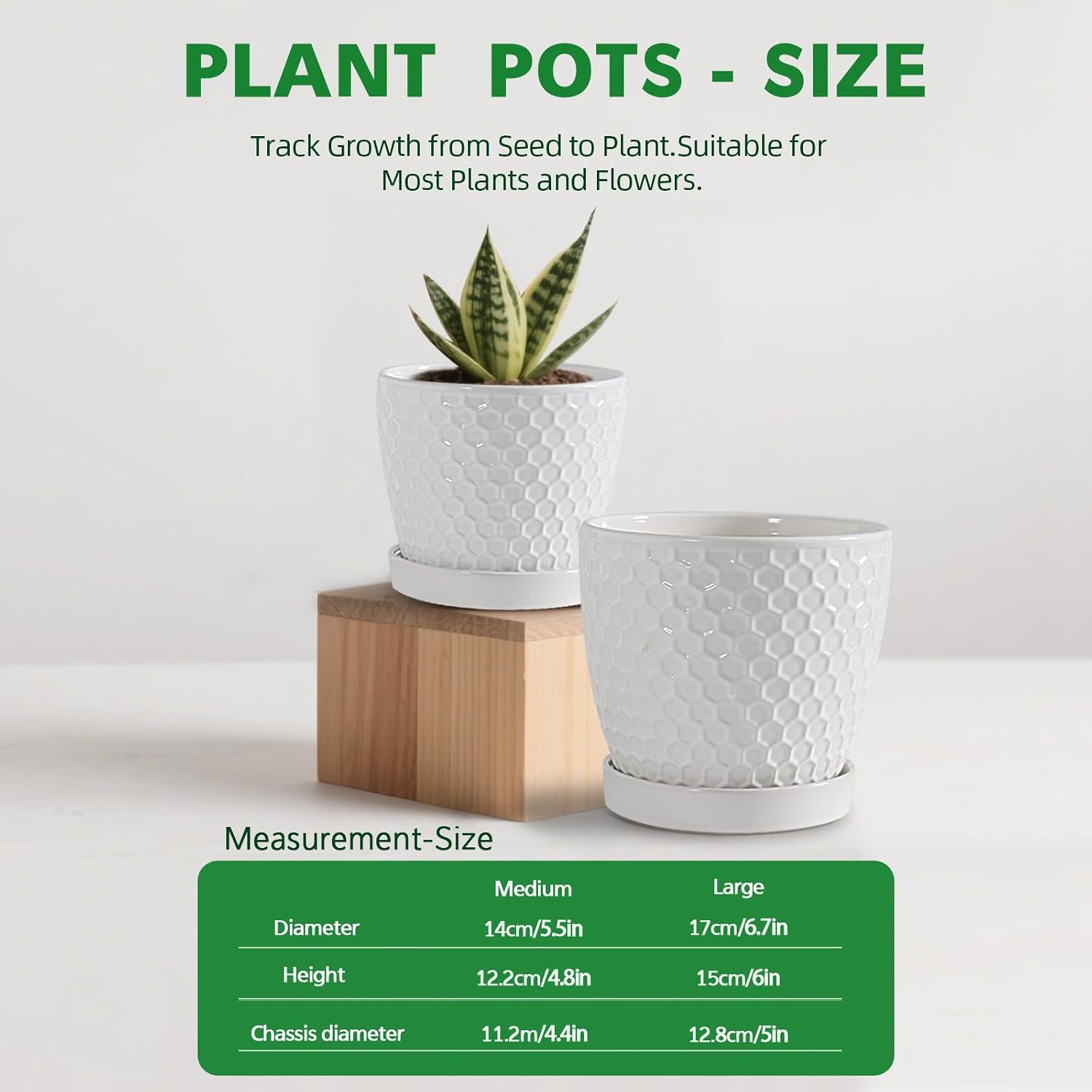 Docrin Ceramic Plant Pots Set of 2 (6.6"+5.5"), High-Fired Clay Indoor Planters with Drainage Holes & Saucer, Honeycomb