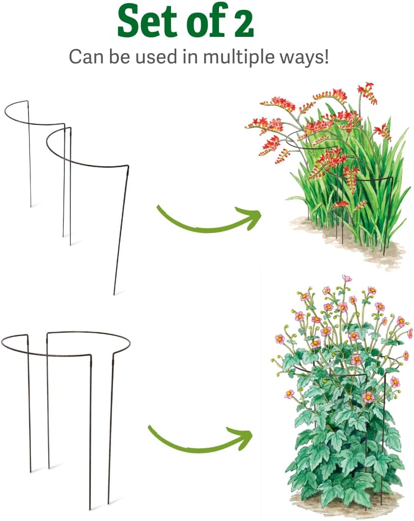 Gardener's Supply Company Jardin Half Round Plant Supports -18" x 35" | Sturdy Powder Coated Metal Outdoor Garden Plant