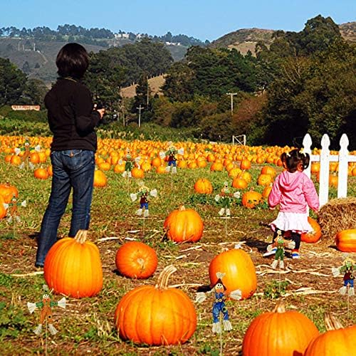 EBaokuup 10 Pcs Halloween Scarecrow Decorations, 12" Fall Harvest Scarecrow