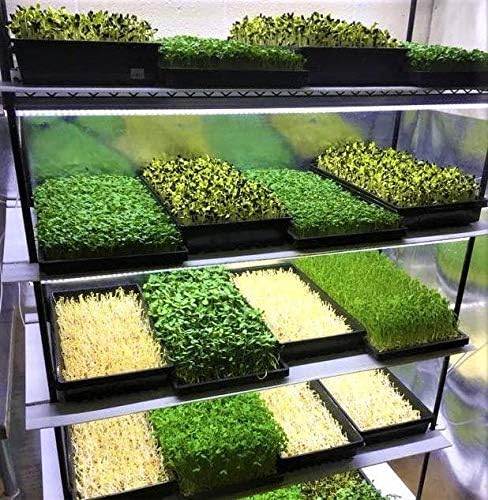 Bootstrap Farmer Mesh Bottom 1020 Trays - 5 Pack Extra Strength Microgreens Soil Blocks Hyroponics