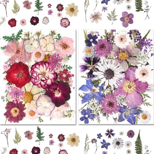 184 PCS Real Pressed Dried Flowers and Leaves for Resin