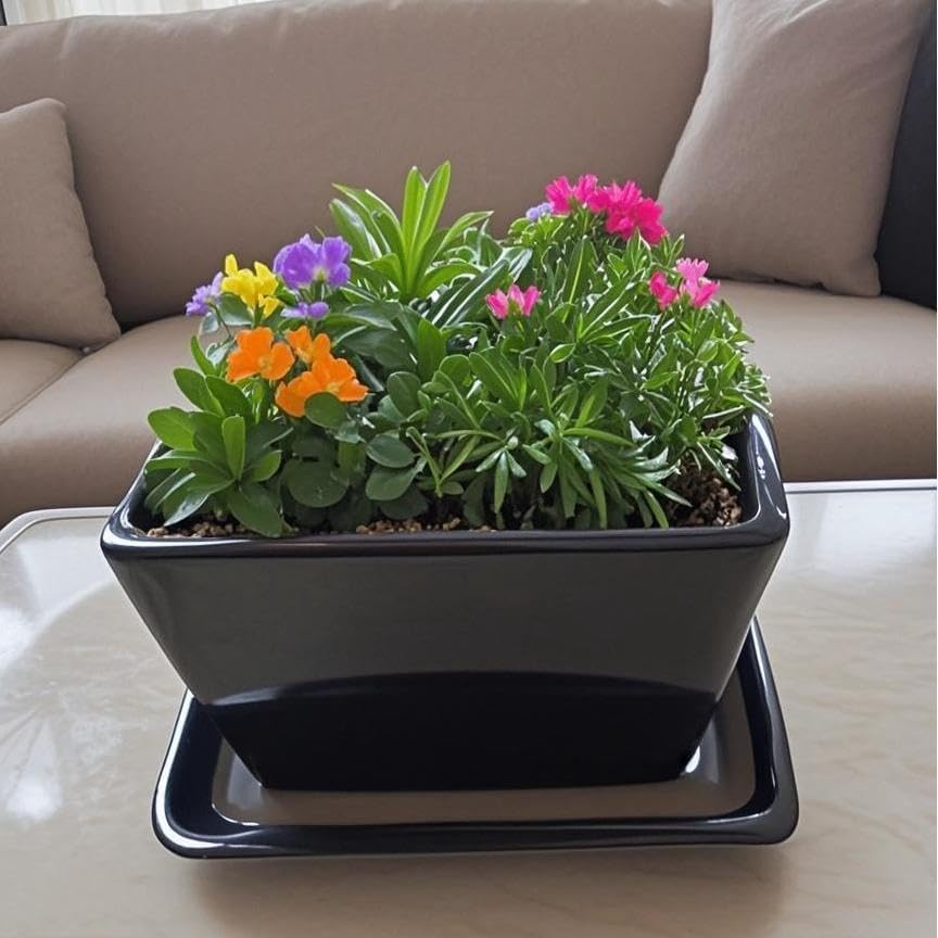 Square Ceramic Plant Saucer Tray 2 Pcs 5 6 Inch Black, 6.6" OD x5.5 ID x1.1 Deep, Sturdy Heavy Duty Glazed Planter Drip