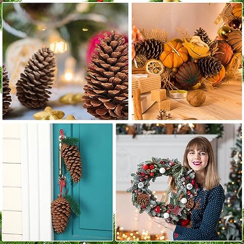 Huwena 6 Pcs 6-7 Inches Pinecones Large Natural Unscented Pine Cones Bulk
