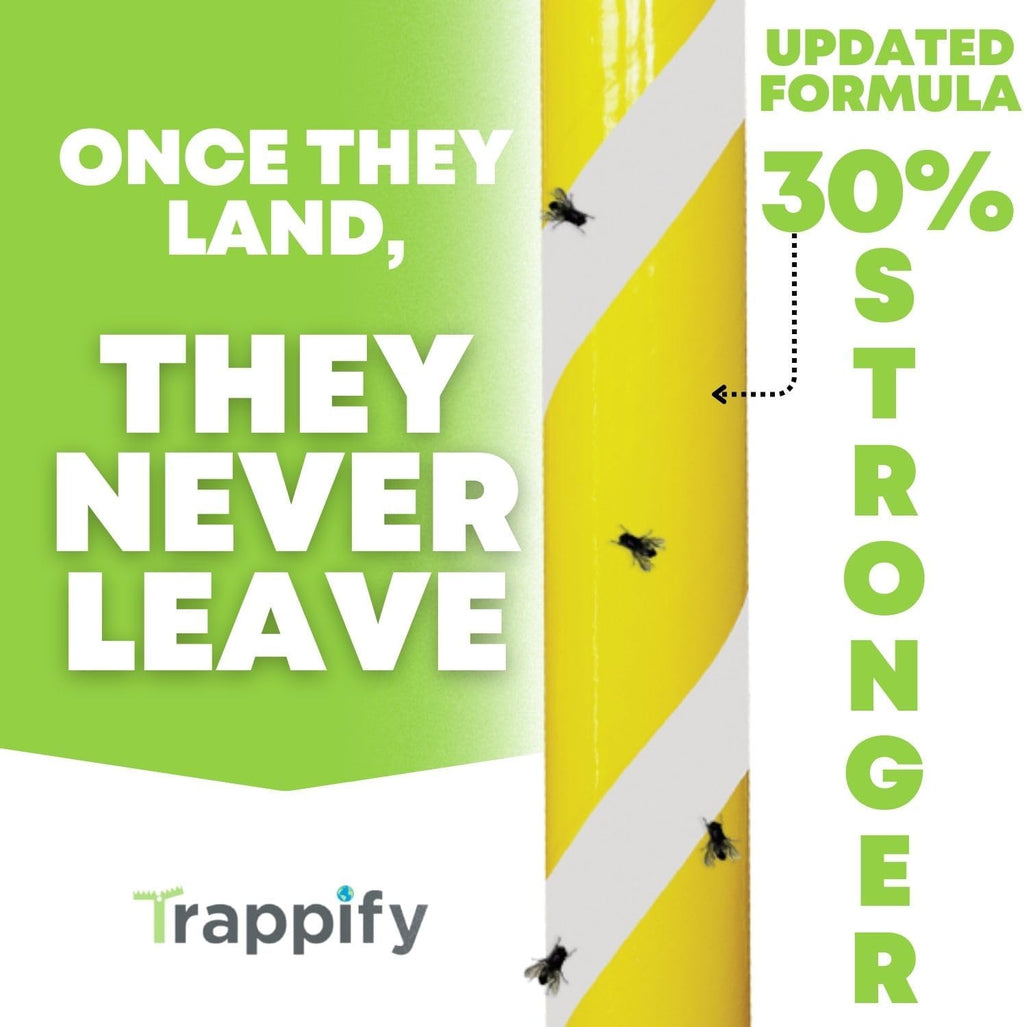 Trappify Glow-in-The-Dark Fly Trap for Indoor & Outdoor Fly Sticks (8 Pack) | Yellow Adhesive Fly Sticks