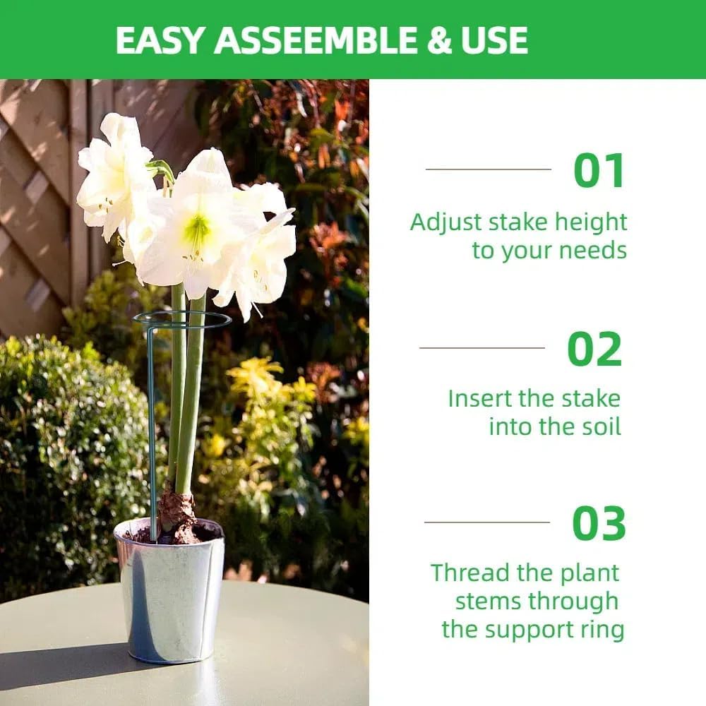4-Pack Adjustable Plant Support Stakes - Heights: 12"/24"/36" - Stainless Steel & Deep Green - Plant Stakes for Indoor