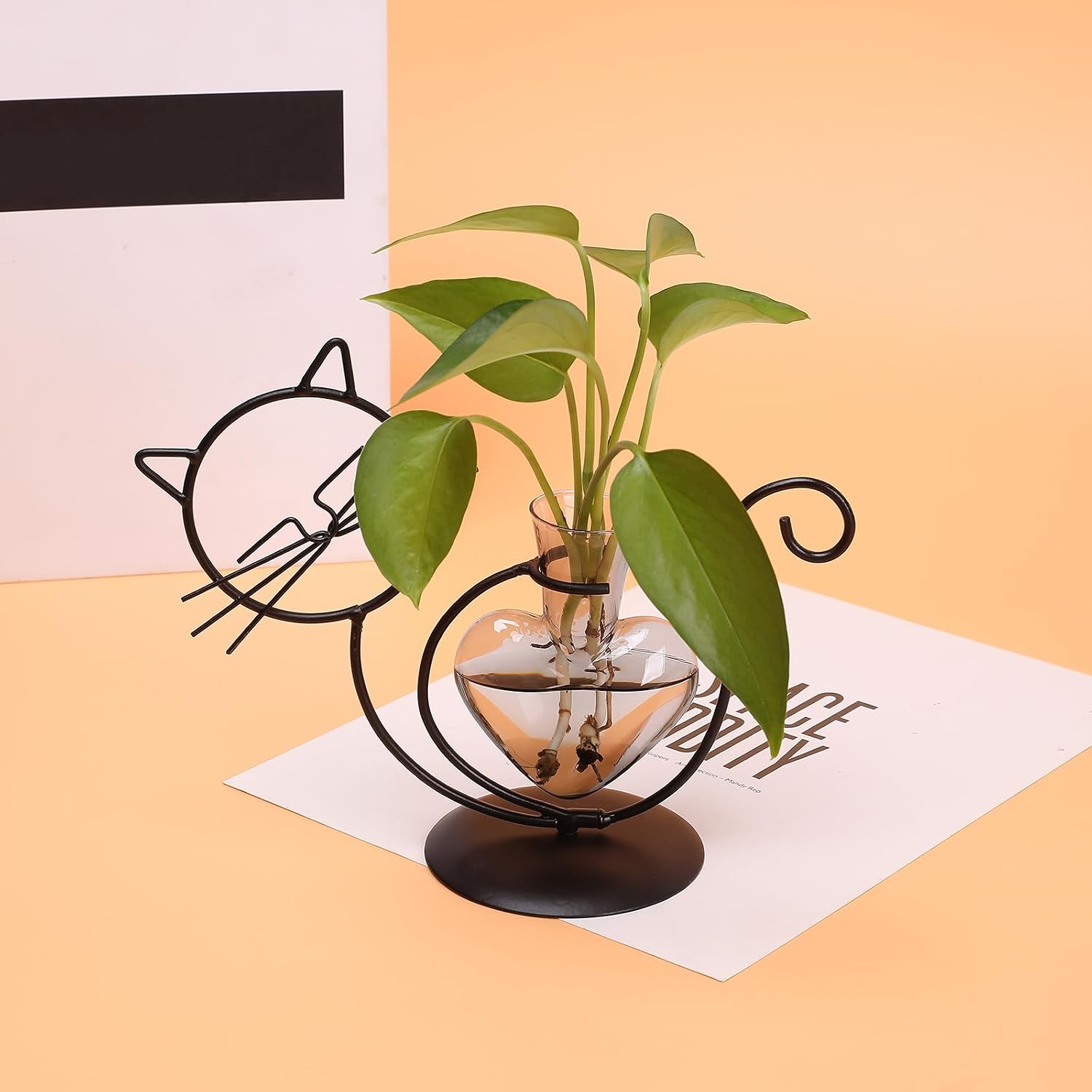 Plant Terrarium Propagation Station Gifts for Women Cat Lover | Plant Lovers Home Office Decor Cat Desk Accessories