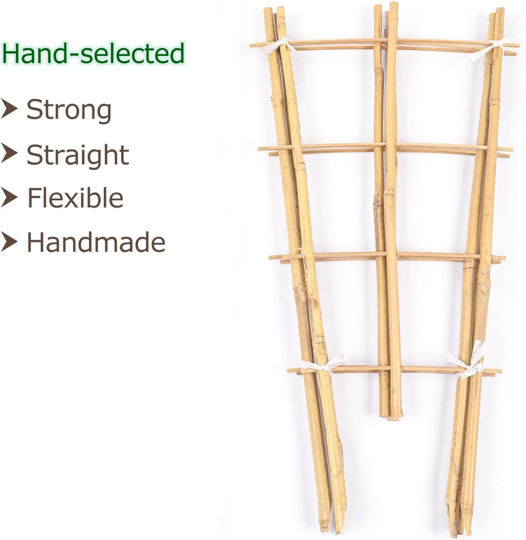 Cambaverd Bamboo Trellis, 24in Fan-Shaped Trellis for Potted Plants 3 Pack | Natural Small Plant Trellis for Climbing