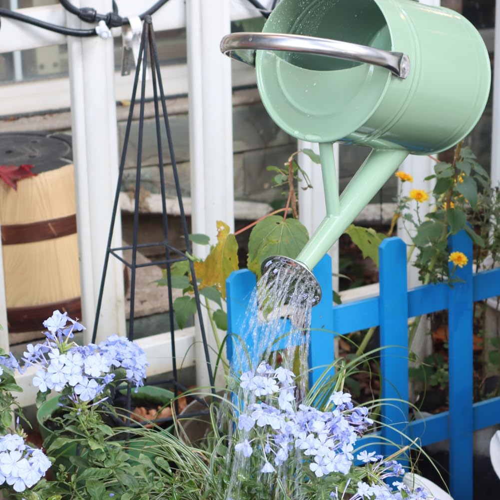 Metal Watering Can 1 Gallon for Outdoor Garden Plants, CGreen | Watering Cans Stainless Steel Handhold with Removable