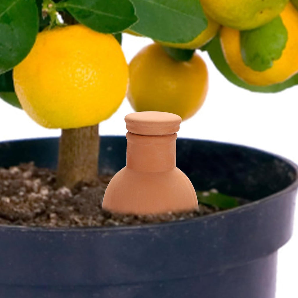 JUXYES 6 Pack Terracotta Self Watering Pots Watering System Planter Spikes | 18 oz Plant Watering Globes with Lid