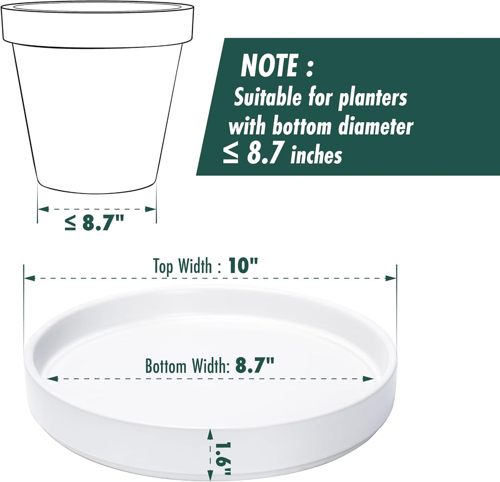 D'vine Dev Ceramic Plant Saucer/Drainage Tray, 8.7 in, White, 97-T-A-4 | Glazed Ceramic, High Temperature Fired