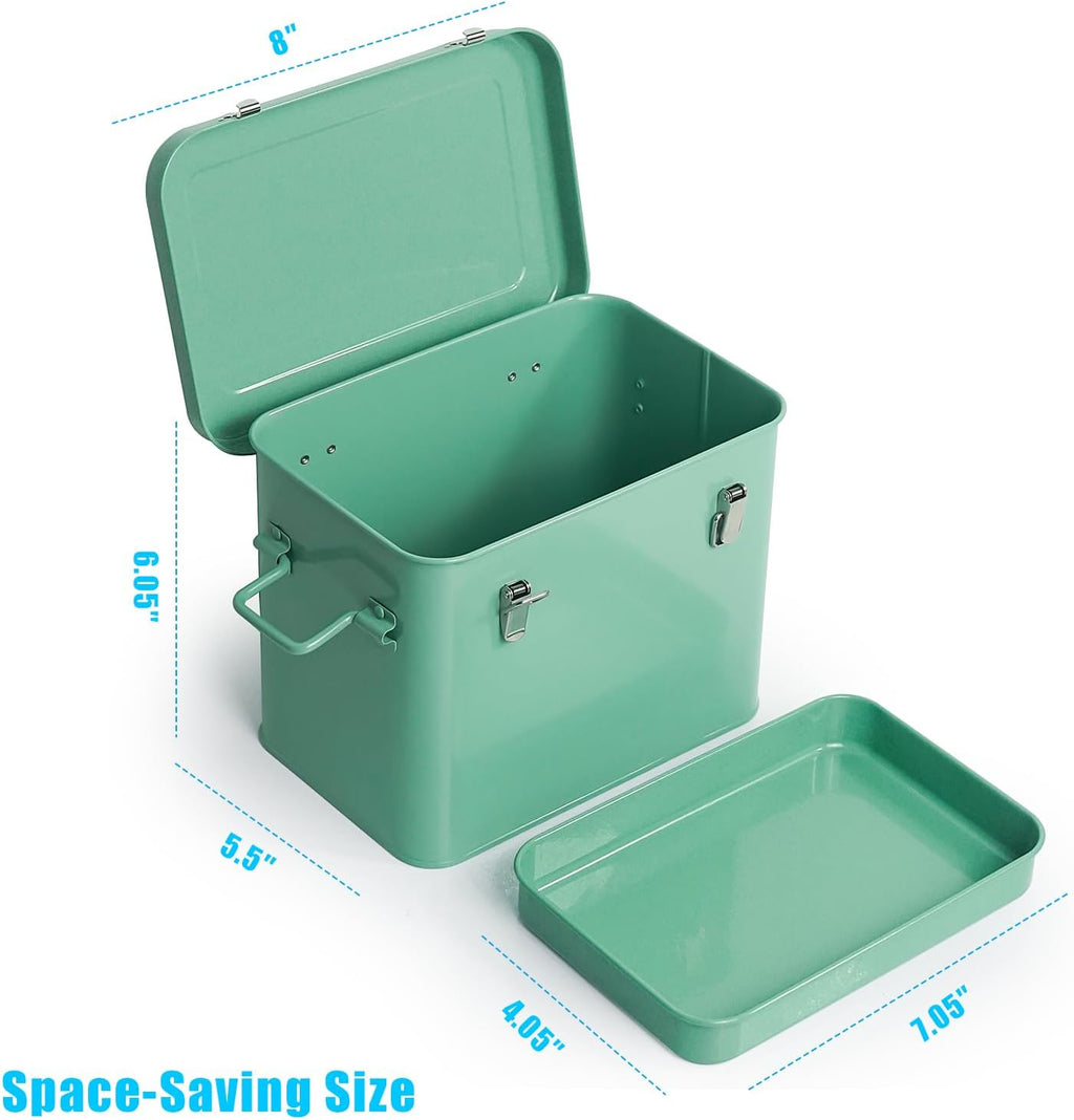 Luwint Seed Storage Organizer, Metal Saving Box Container with Removable Tray, Small Storage Box with Lid for Seeds