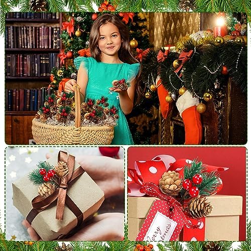 48 Pcs Christmas Floral Picks and Sprays Cone Berry Stems for Craft, Cute