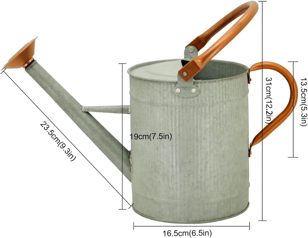 1 Gallon Watering Can, Metal Watering Can with Removable Spout, Farmhouse Galvanzied Water Can, Nice Plant Water Can