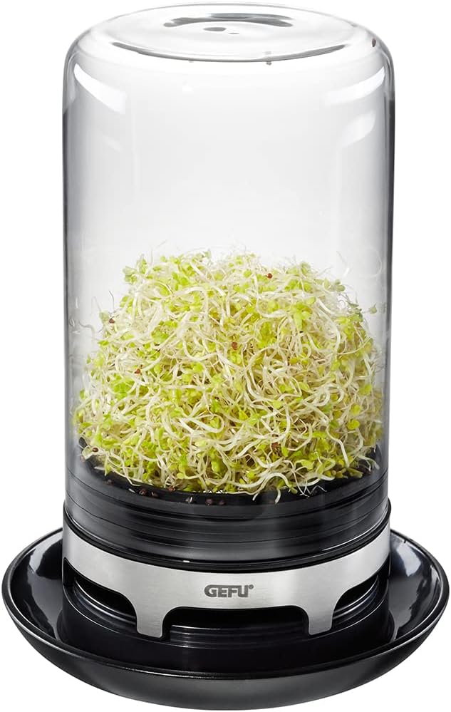 SPROUTING JAR (Black)