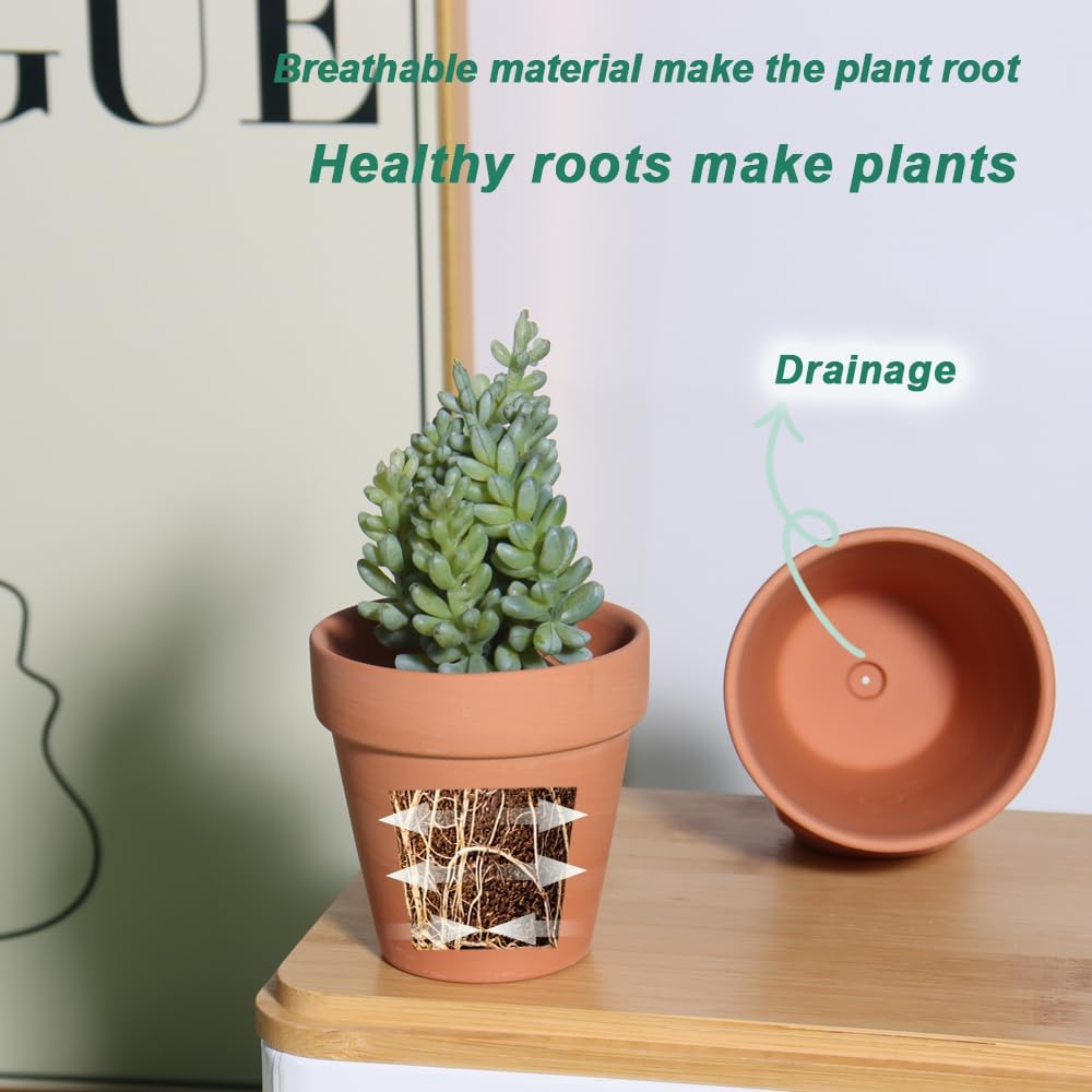 3 Inch Terracotta & Clay Pot for Plant with Drainage, 20 Pack | Clay Flowerpot, Nursery pot for succulents, cactus