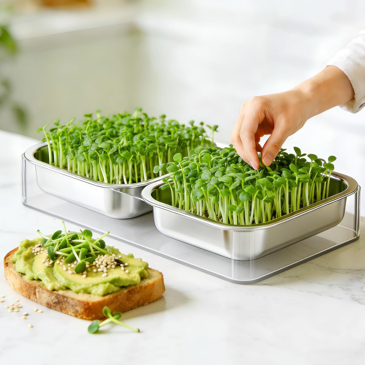 FANHAO Upgraded Visual Seed Sprouter Tray, Stainless Steel Soil-Free Cultivation Germination Tray with Acrylic Base