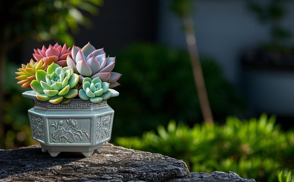 8-Inch Large Octagon Bonsai Pot Light Blue Water Glaze | Ceramic, Handmade,Ceramic Flower Pot, Handmade