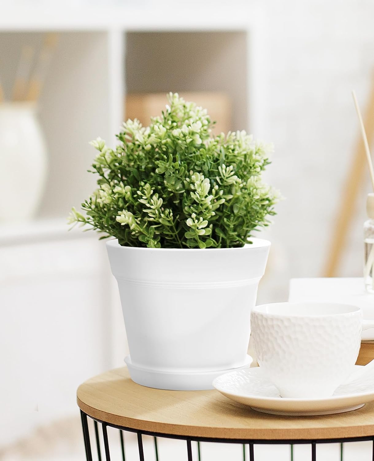 6 Inch Plastic Plant Pots with Drainage Holes and Trays (15 Pcs) | Cream white finish suits orchids, succulents, herbs