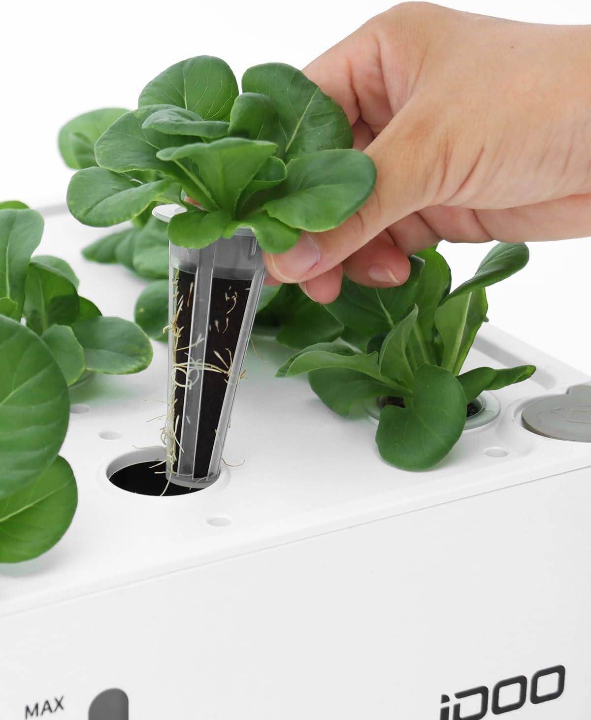 iDOO Seed Pods kit for Hydroponics System, with 12 Growth Sponges, 12 Grow Baskets, 12 Pod Labels, 12 Grow Domes, 2