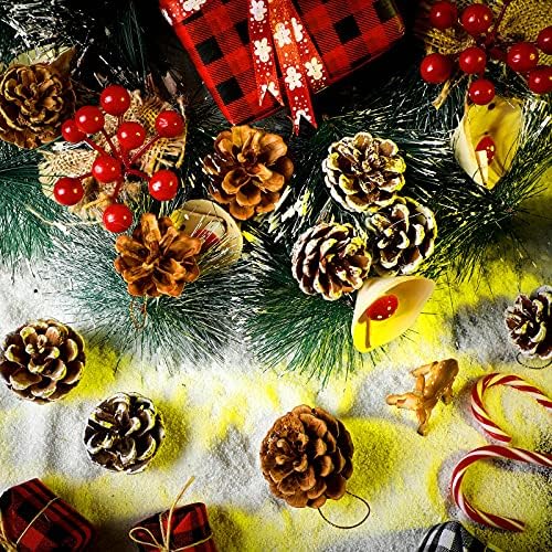 Syhood 24 Pcs Christmas Pine Cone Ornaments with String, White, Natural