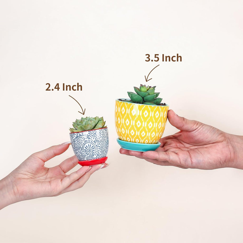 Selamica Ceramic 2.4 Inch Succulent Pots, Mini Flower Pots for Cactus Plant with Drainage Holes & Saucers, Home Decor