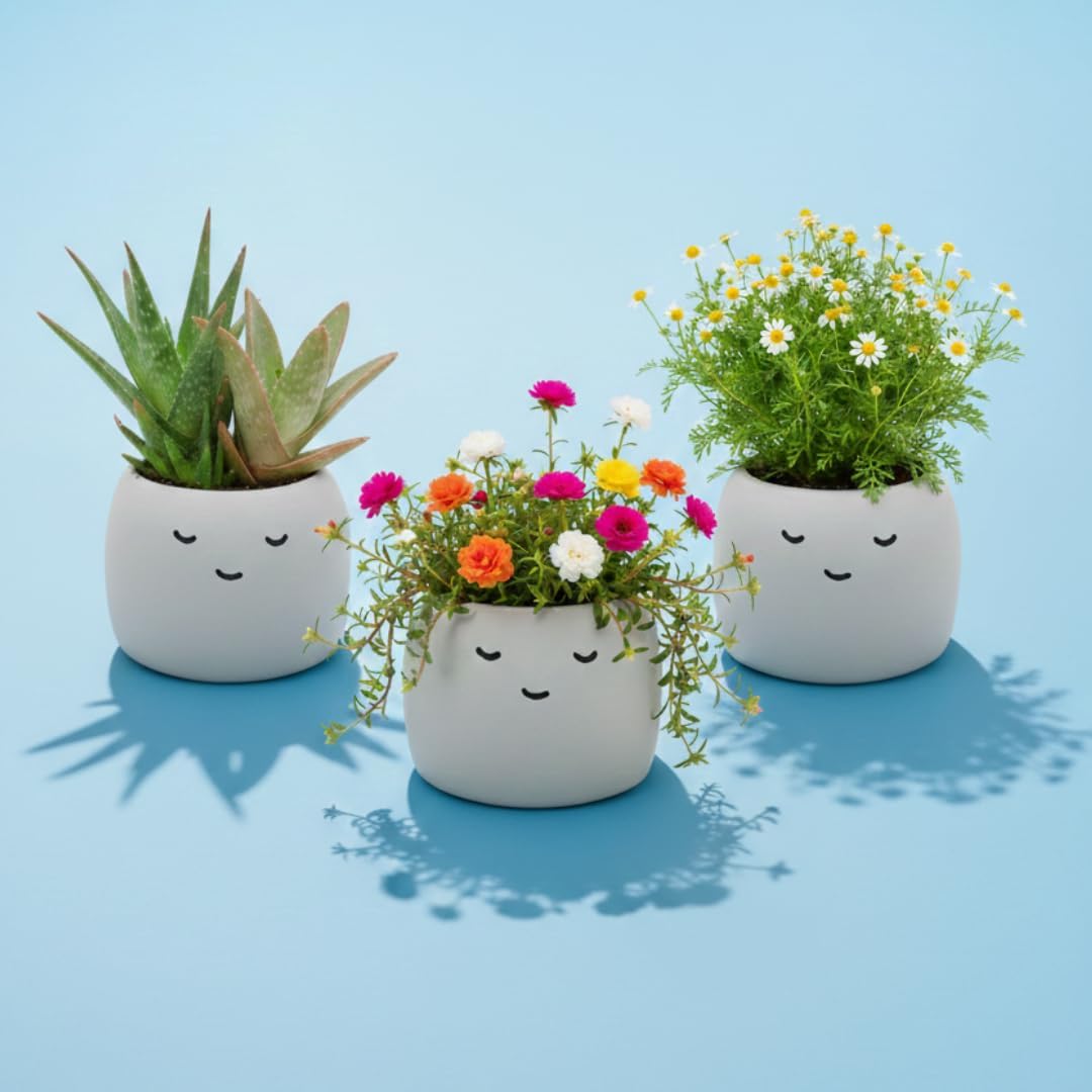 Buzzy Seeds Peaceful Face Planter Grow Kit 3-Pack - Face Ceramic Planter - Complete Indoor Gardening Kit with Seeds