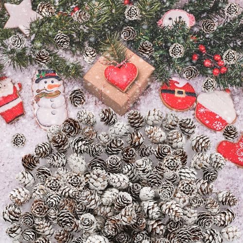 100 Pcs Snow Pine Cones, Mini Pinecones for Craft, Natural Cones Wreath, Christmas Bowl Stuff Winter Decorations Decor Accessories Party Suppliesfor Home Indoor Vase Filler