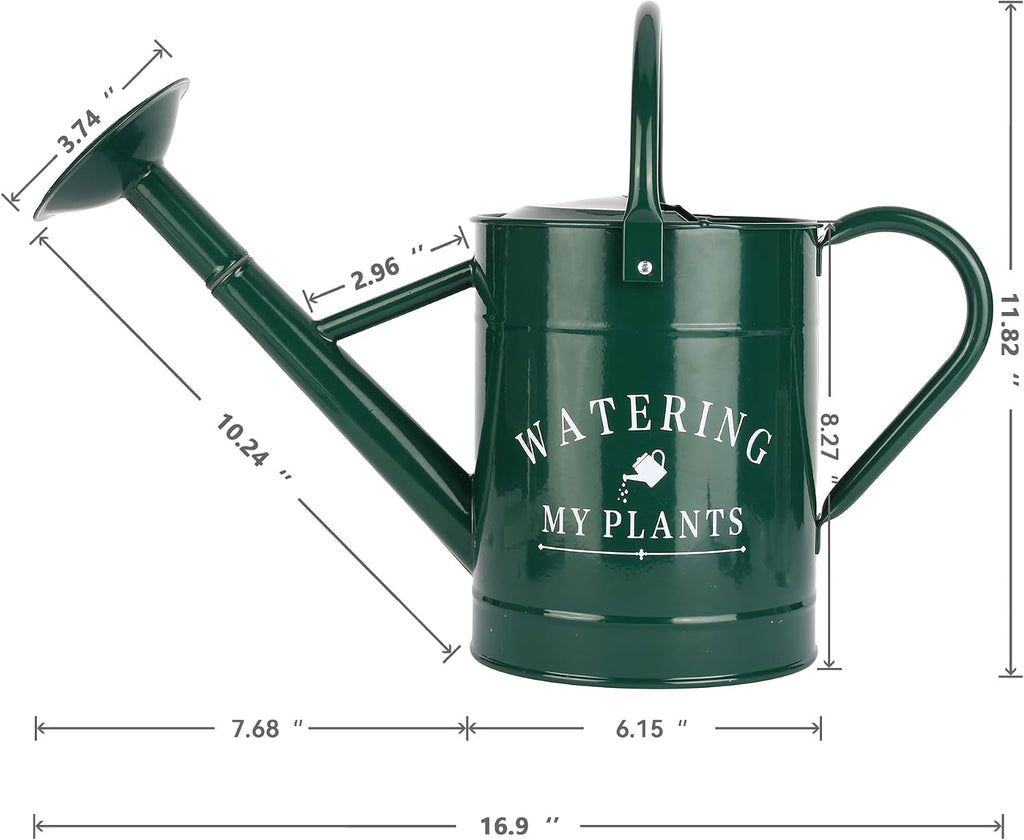 Garutom Galvanized Watering Can for Outdoor Indoor Plants, 1 Gallon Decorative Countryside Water Can with Removable
