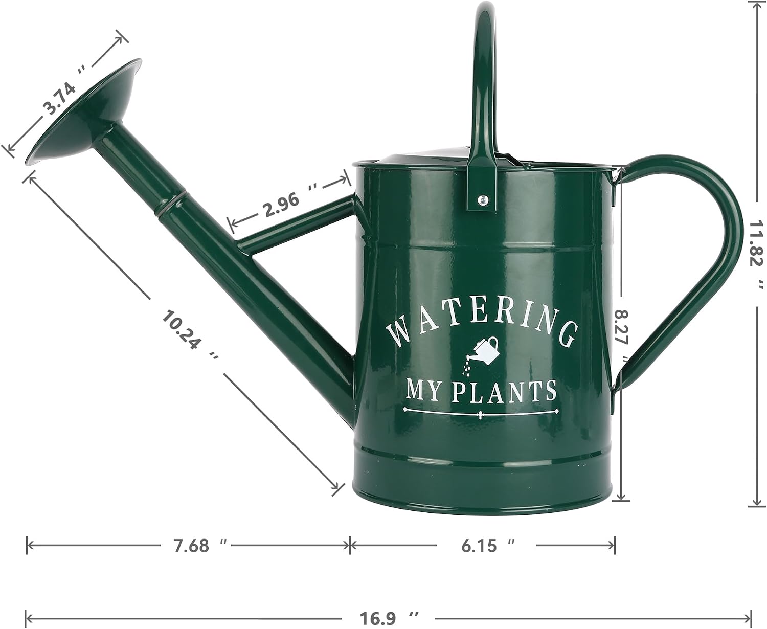 Garutom Galvanized Watering Can for Outdoor Indoor Plants, 1 Gallon Decorative Countryside Water Can with Removable