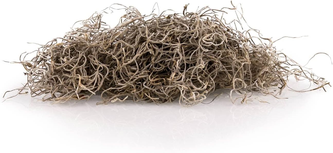 Premium Natural Spanish Moss | Natural Preserved - Great Ground Cover - Filler for Potted Plants - by GARDENERA - 5