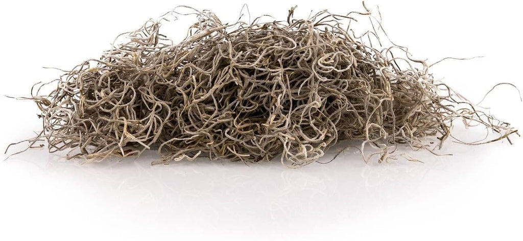Premium Natural Spanish Moss | Natural Preserved - Great Ground Cover - Filler for Potted Plants - by GARDENERA - 3