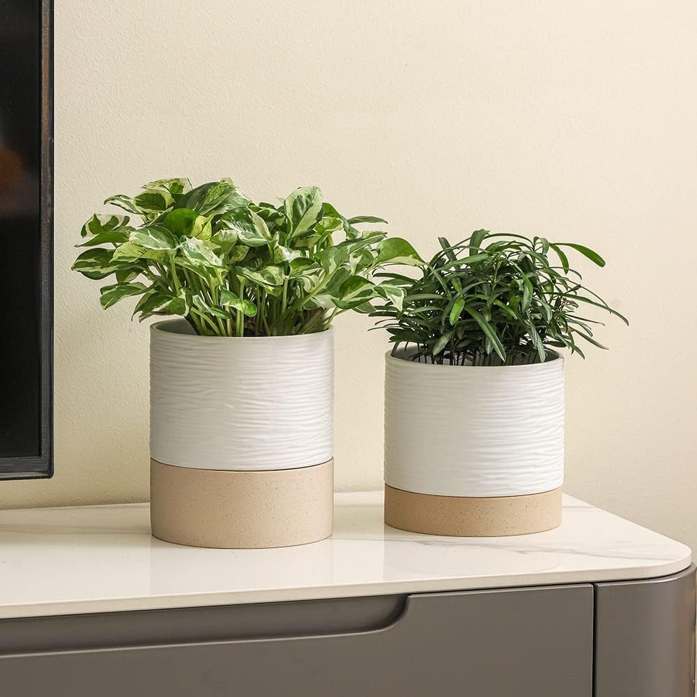Nihow Ceramic Self Watering Plant Pot for Indoor Plants,6 Inch,White | Planter with Cotton Wick, Drainage Hole & Water