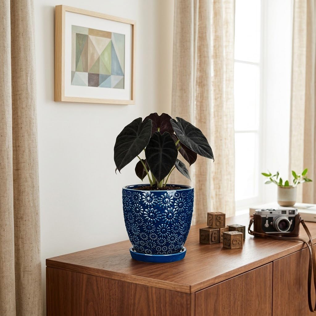 Hollyone 6 Inch Blue Ceramic Planter Flower Plant Pot with Drainage Hole and Saucer for Plants Embossed Indoor Outdoor