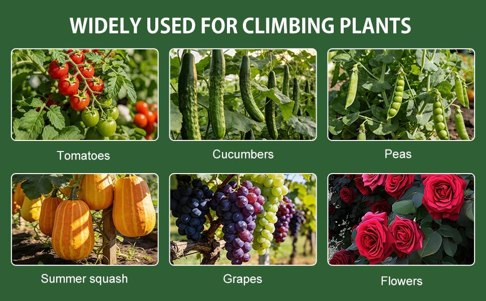 U-Shape Cucumber Trellis for Raised Beds - 47.2”x47.2”x21.6” Green Metal Arch Trellis, Rust-Resistant Garden Plant