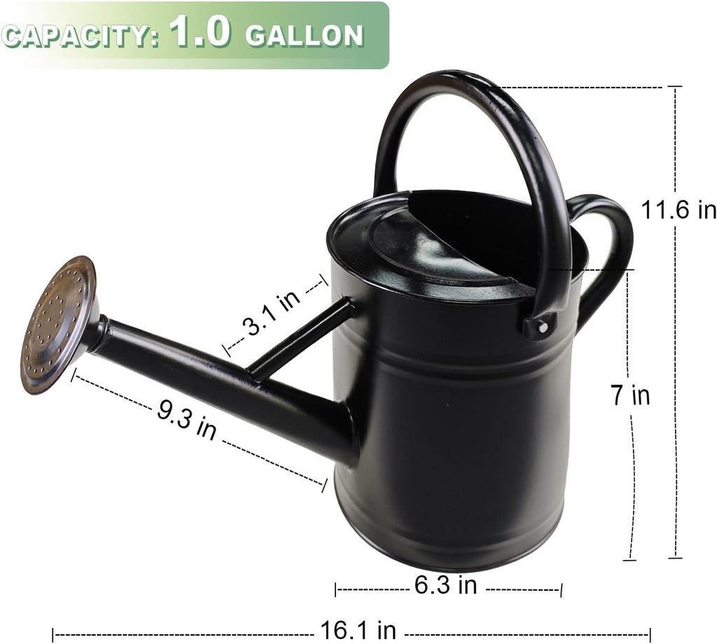 1 Gallon Metal Watering Can for Outdoor&Indoor Plants | Removable Sprinkler Head,Made of Premium Galvanized