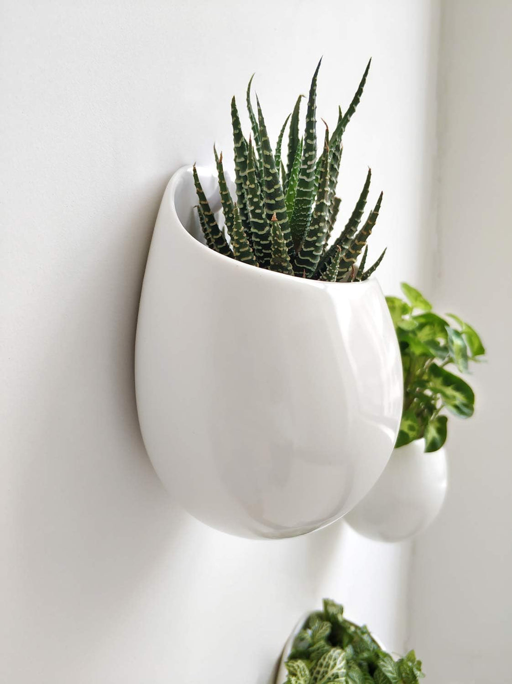 Mkono Ceramic Wall Planter for Indoor Plants 4 Inch Hanging Pot, Set of 3 | Succulents Air Plant Holder, White Round