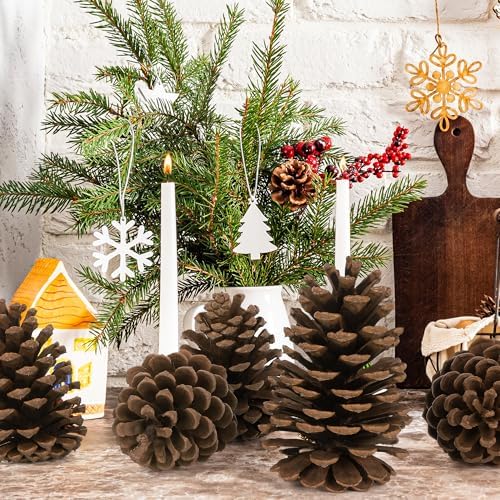 12PCS Large Pine Cones, 3.93-5.51 Inches Tall Pinecones Bulk, Natural Pine Cones for Craft Home Accent Decor Christmas Decorations Table Accessories Supplies Xmas