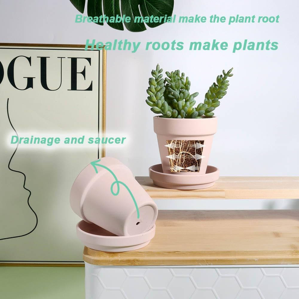 3 Inch Pink Terracotta & Clay Pots with Saucer, 12 Pack | Clay Flowerpot with Drainage, Nursery pot for succulents