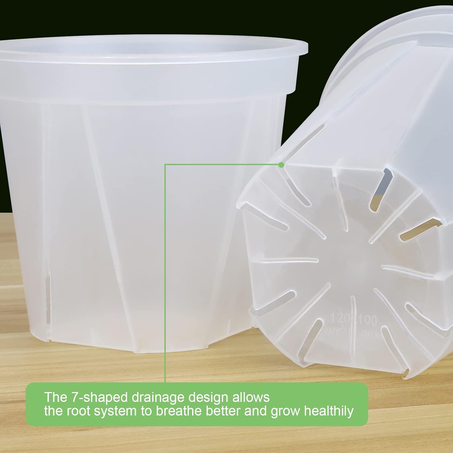 GREENPARA Clear Plant Nursery Pots with Saucer for Indoor & Outdoor Plants | 4/5/6/7/8 Inch Drainage Holes Root