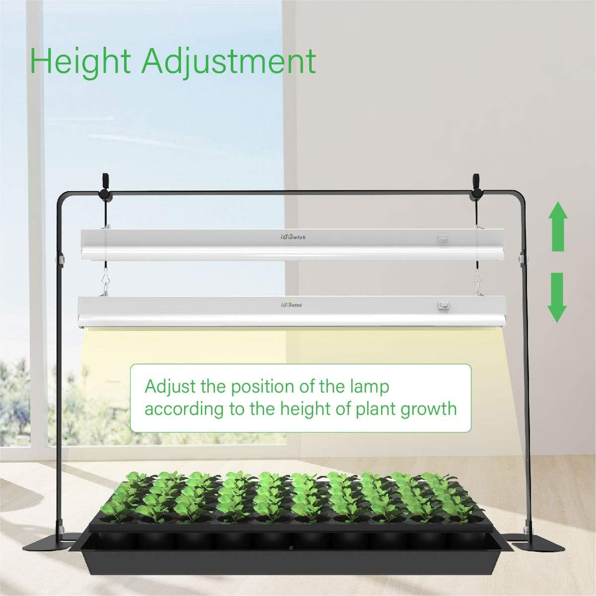 2ft Grow Light for Seed Starting,LED Grow Lamp for Indoor Plants,Seedling Grow Light with Stand,Seed Starter Light Kit