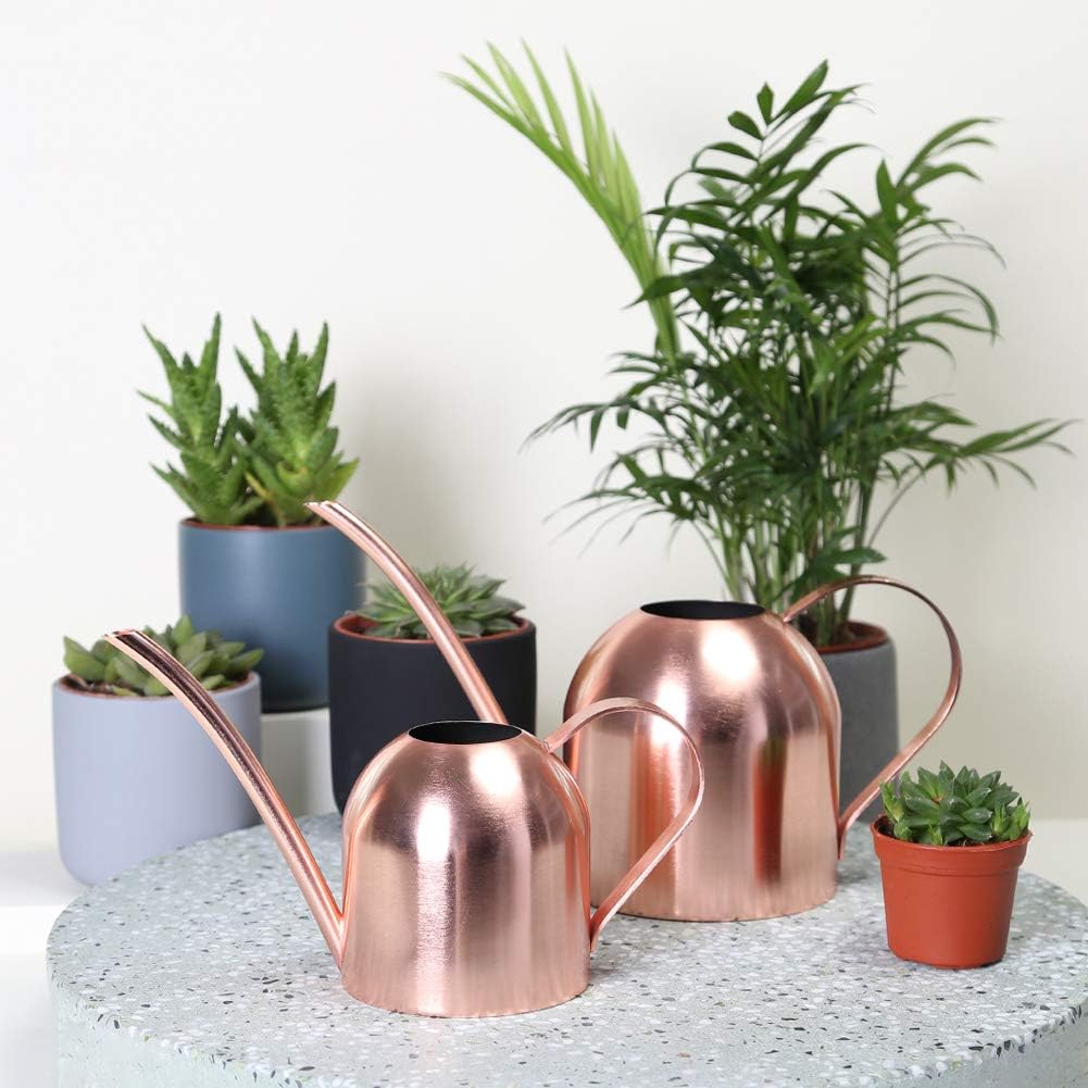 Watering Can for Indoor Plants, 30oz Long Spout Stainless Steel | Long Spout Design Delivers Precise Watering Directly